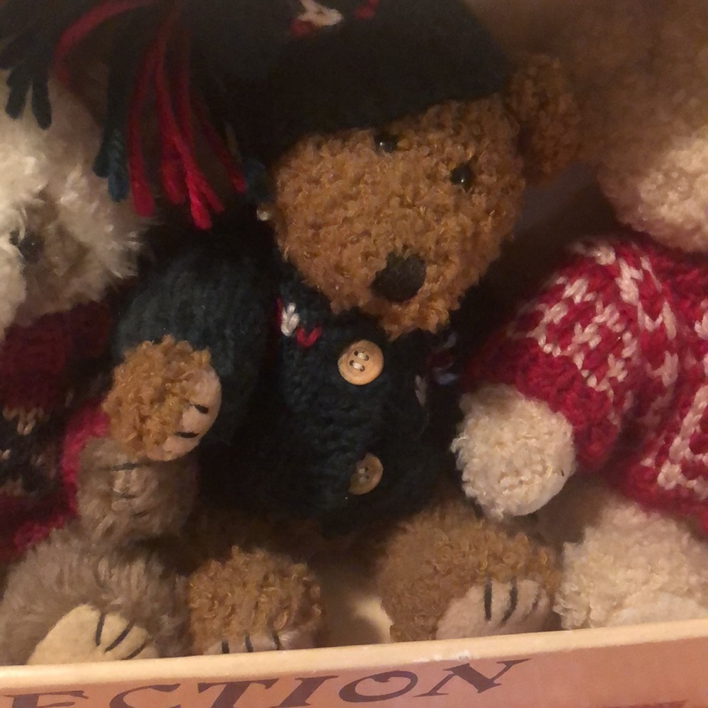 Teddy Bear Collection - Picture 13 of 14